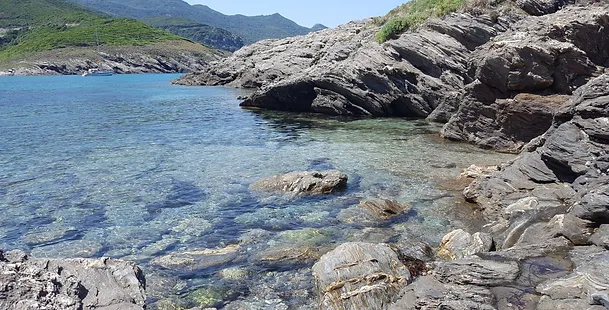 Le rivage Corse où Magali se procure le bois flotté